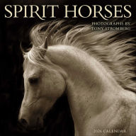 Title: 2026 Spirit Horses Wall Calendar by Tony Stromberg