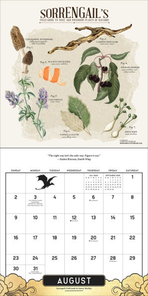 2026 FOURTH WING OFFICIALLY LICENSED FAN ART WALL CALENDAR