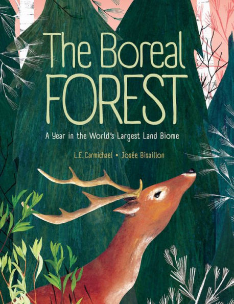the Boreal Forest: A Year World's Largest Land Biome