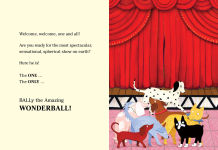 Alternative view 4 of BALLy the Amazing Wonderball