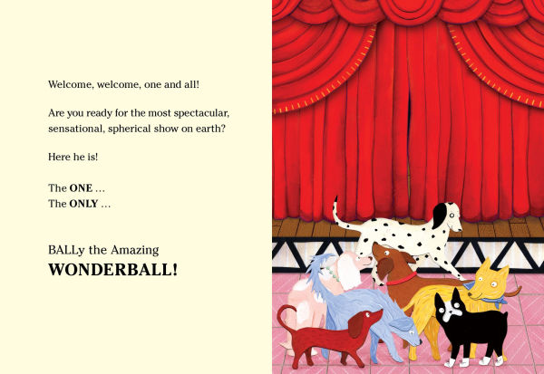 BALLy the Amazing Wonderball