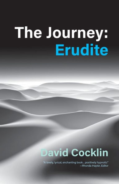 The Journey: Erudite