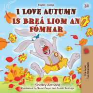 Title: I Love Autumn (English Irish Bilingual Book for Kids), Author: Shelley Admont
