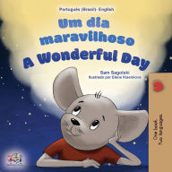 Title: A Wonderful Day (Brazilian Portuguese English Bilingual Book for Kids), Author: Sam Sagolski
