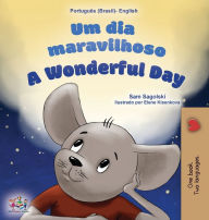 Title: A Wonderful Day (Brazilian Portuguese English Bilingual Book for Kids), Author: Sam Sagolski