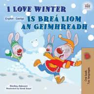 Title: I Love Winter (English Irish Bilingual Children's Book), Author: Shelley Admont