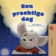 Title: A Wonderful Day (Dutch Children's Book), Author: Sam Sagolski