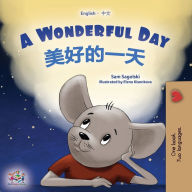 Title: A Wonderful Day (English Chinese Bilingual Book for Kids - Mandarin Simplified), Author: Sam Sagolski