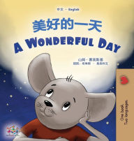 Title: A Wonderful Day (Chinese English Bilingual Children's Book - Mandarin Simplified), Author: Sam Sagolski