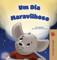 Title: A Wonderful Day (Portuguese Book for Children - Portugal ), Author: Sam Sagolski