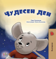 Title: A Wonderful Day (Bulgarian Book for Kids), Author: Sam Sagolski