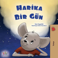 Title: A Wonderful Day (Turkish Book for Children), Author: Sam Sagolski