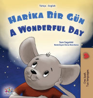 Title: A Wonderful Day (Turkish English Bilingual Book for Kids), Author: Sam Sagolski