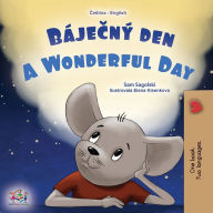 Title: A Wonderful Day (Czech English Bilingual Book for Kids), Author: Sam Sagolski