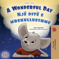 Title: A Wonderful Day (English Albanian Bilingual Children's Book), Author: Sam Sagolski