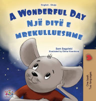 Title: A Wonderful Day (English Albanian Bilingual Children's Book), Author: Sam Sagolski