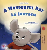 Title: A Wonderful Day (English Irish Bilingual Children's Book), Author: Sam Sagolski
