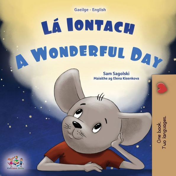 A Wonderful Day (Irish English Bilingual Book for Kids)