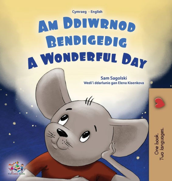 A Wonderful Day (Welsh English Bilingual Children's Book)