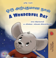 Title: A Wonderful Day (Tamil English Bilingual Children's Book), Author: Sam Sagolski