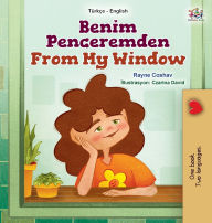 Title: From My Window (Turkish English Bilingual Kids Book), Author: Rayne Coshav