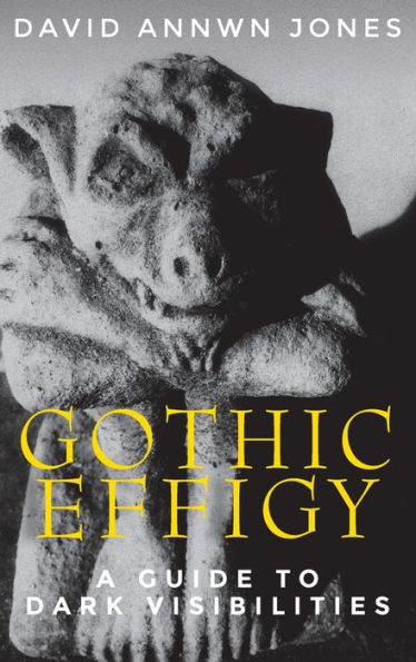 Gothic effigy: A guide to dark visibilities