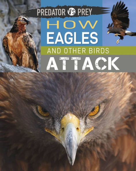 Predator vs Prey: How Eagles and other Birds Attack!