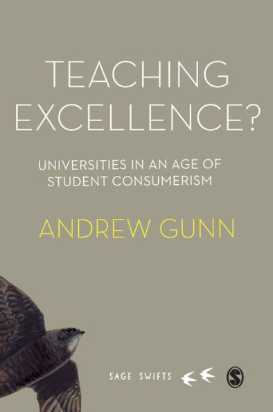 Teaching Excellence?: Universities in an age of student consumerism / Edition 1