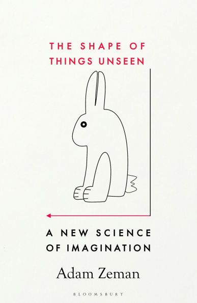 The Shape of Things Unseen: A New Science of Imagination