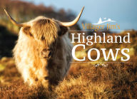 Title: Villager Jim's Highland Cows, Author: Villager Jim