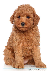 Title: Toy Poodle Affirmations Workbook Toy Poodle Presents: Positive and Loving Affirmations Workbook. Includes: Mentoring Questions, Guidance, Supporting You.