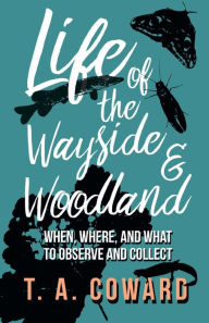 Title: Life of the Wayside and Woodland: When, Where, and What to Observe and Collect, Author: T a Coward