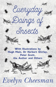 Title: Everyday Doings of Insects - With Illustrations by Hugh Main, Dr Herbert Shirley, Peter Scott, the Author and Others, Author: Evelyn Cheesman