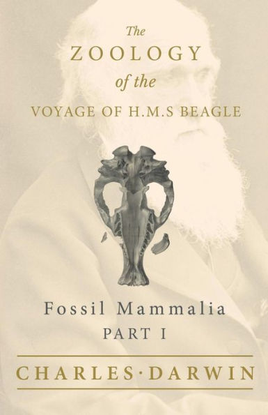 Fossil Mammalia - Part I the Zoology of Voyage H.M.S Beagle; Under Command Captain Fitzroy During Years 1832 to 1836