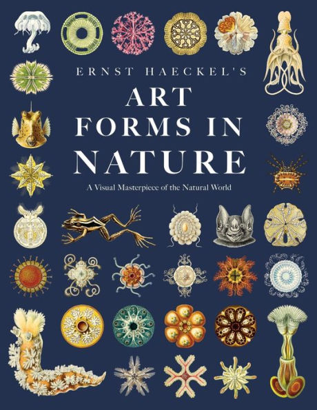 Ernst Haeckel's Art Forms in Nature: A Visual Masterpiece of the Natural World