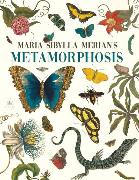 Maria Sibylla Merian's Metamorphosis: One Woman's Discovery of the Transformation Butterflies and Insects