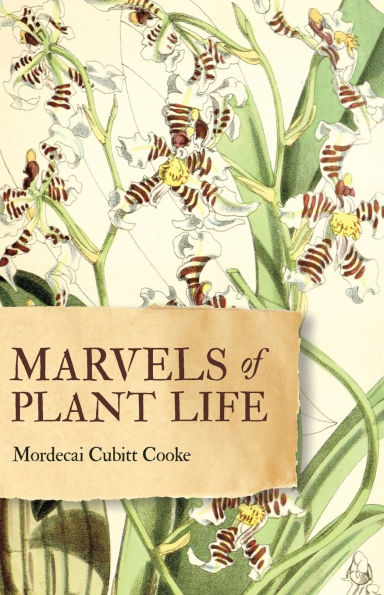 Marvels of Plant Life: Curiosities Vegetation