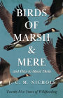 Birds of Marsh and Mere and How to Shoot Them - Twenty Five Years of Wildfowling