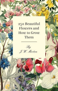 Title: 250 Beautiful Flowers and How to Grow Them, Author: J. W. Morton