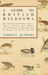 Title: A Guide to British Wildfowl - Descriptions of the Ducks, Geese, Swans, Plovers and Waders with Chapters on the Question of Range and Choice of Gun, Author: Various