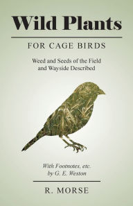Title: Wild Plants for Cage Birds - Weed and Seeds of the Field and Wayside Described - With Footnotes, etc., by G. E. Weston, Author: R. Morse