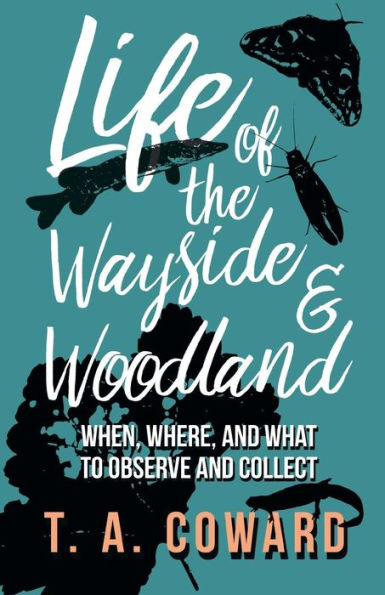 Life of the Wayside and Woodland: When, Where, and What to Observe and Collect