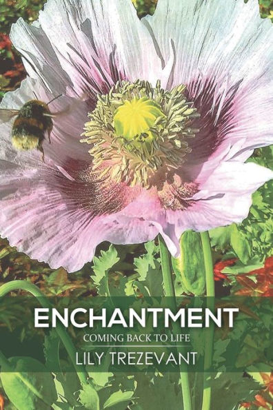 Enchantment: Coming Back to Life