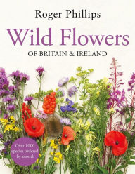Title: Wild Flowers: Of Britain and Ireland, Author: Roger Phillips
