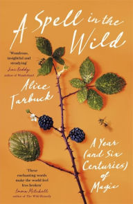 Download a free audiobook A Spell in the Wild: A Year (and six centuries) of Magic  9781529380866 (English literature) by Alice Tarbuck