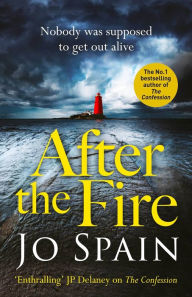 Free ebay ebooks download After the Fire English version by Jo Spain