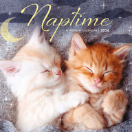 Title: 2026 Naptime Mini Wall Calendar
