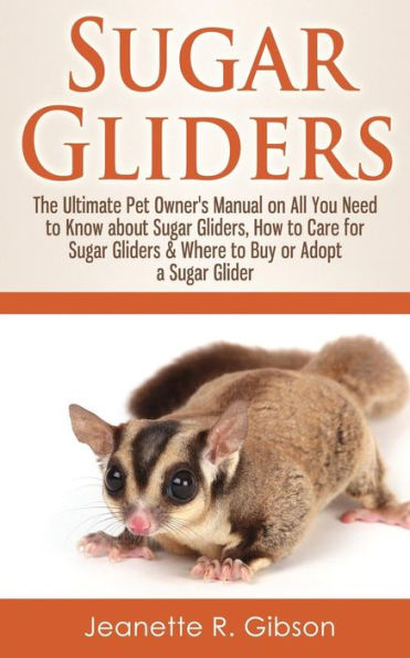 Pet stores near me with sugar gliders best sale