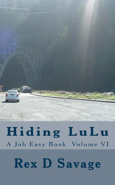 Hiding LuLU: A Job Easy Book Volume VI