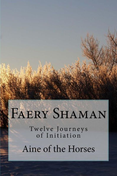 Faery Shaman: Twelve Journeys of Initiation